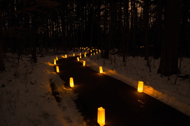 Luminary lined path.  Credit: Tim Fenner