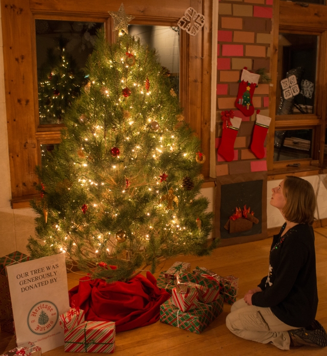 The Christmas tree, generously donated by Heritage Farms in Peninsula, was gifted to a local Akron family.  Credit: Tim Fenner