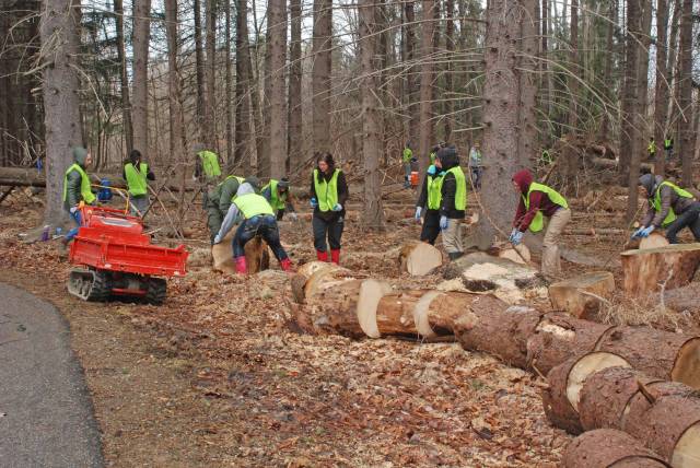 Student Volunteers help to move large logs to another location, where they will be split into firewood and distributed between the White Pines and Lipscomb campuses.  Photo credit: Denny Reiser
