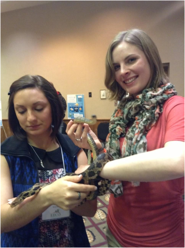 Interns Desirae and Kate (from left) bond with an eastern fox snake and Lake Erie watersnake at one of the educational sessions provided at the EECO conference. The Lake Erie watersnake was recently removed from of the list of federally endangered and threatened species on August 16, 2011. Photo Credit: Kate Lowry